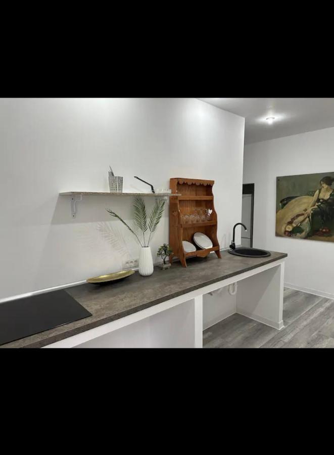 Piata Libertatii Apartament 1 Room تيميشورا المظهر الخارجي الصورة